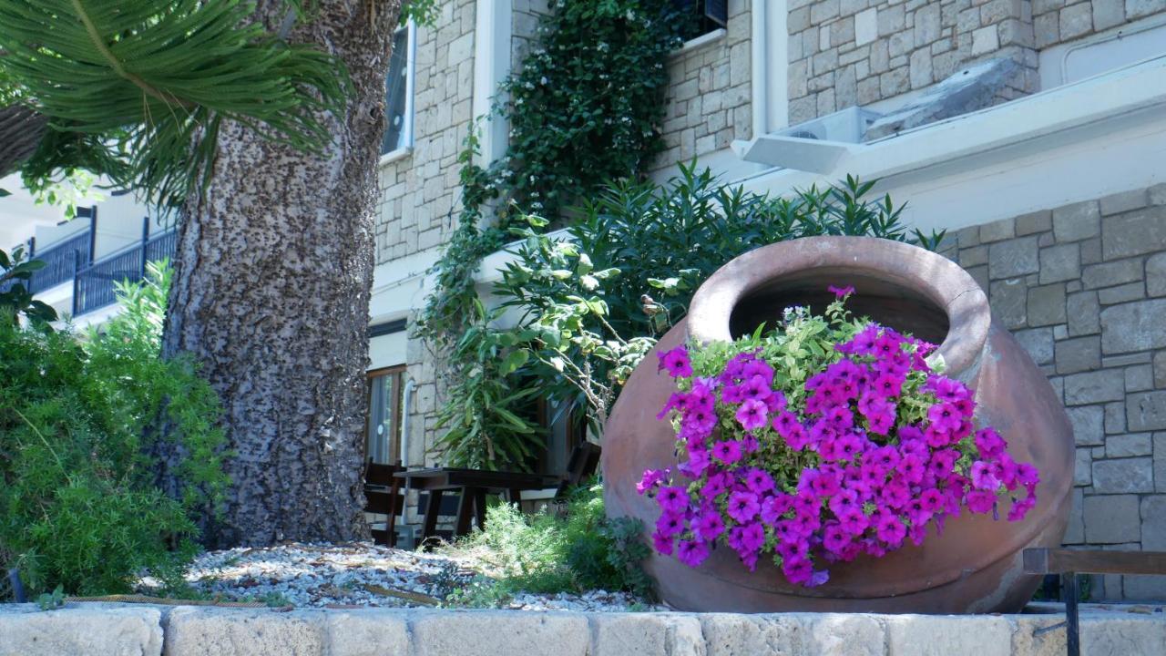 Dionysos Central Пафос Экстерьер фото